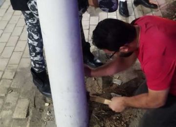 الحماية المدنية تنقذ قطة عالقة داخل عمود إنارة في حي الزهور ببورسعيد الحماية المدنية تنقذ قطة عالقة داخل عمود إنارة في حي الزهور ببورسعيد