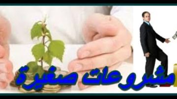 باسل رحمي: برنامج الأمم المتحدة الإنمائي في مصر شريك استراتيجي لجهاز تنمية المشروعات