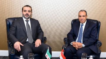 وزير الخارجية: مصر ترى في استعادة سوريا لعافيتها تعزيزا للأمن القومي العربي
