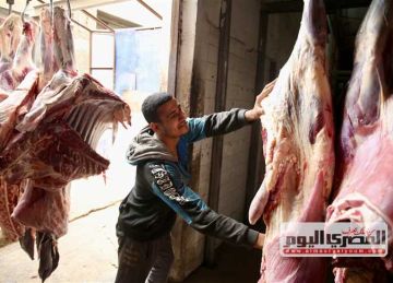 أسعار اللحوم في مطروح اليوم الأحد 21 سبتمبر 2025