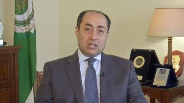 أمين مساعد الجامعة العربية: اجتياح إسرائيل لغزة عقب القمة العربية الإسلامية كان متوقعا أمين مساعد الجامعة العربية: اجتياح إسرائيل لغزة عقب القمة العربية الإسلامية كان متوقعا