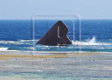 سفينة غارقة تطفو على شاطئ فندق بالقصير (صور)