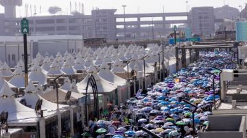 لأول مرة .. انطلاق إجراءات الحج مبكرا .. وشركات السياحة تبدأ تلقي طلبات الراغبين لأول مرة .. انطلاق إجراءات الحج مبكرا .. وشركات السياحة تبدأ تلقي طلبات الراغبين