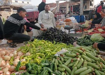 أسعار الخضار والفاكهة الأربعاء 3 سبتمبر 2025 في الشرقية