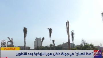 التنسيق الحضاري : تطوير حديقة الأزبكية التراثية جزء من إحياء القاهرة الخديوية التنسيق الحضاري : تطوير حديقة الأزبكية التراثية جزء من إحياء القاهرة الخديوية