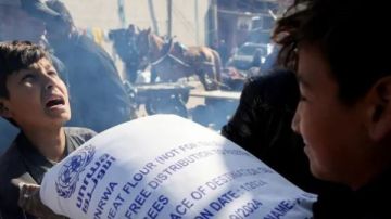 مرصد الأزهر: الوضع في غزة تجاوز مرحلة الكارثة الإنسانية فاليوم يجتمع العنف والمجاعة وانعدام الأمن معا