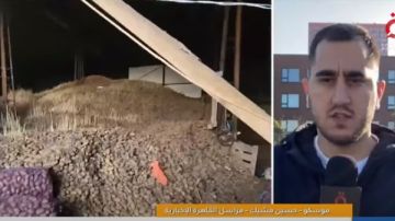 ابتكار روسي جديد لزراعة البطاطس في أجواء قارصة البرودة ابتكار روسي جديد لزراعة البطاطس في أجواء قارصة البرودة