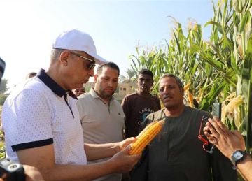 تزامنا مع عيد الفلاح .. مزارعو المنيا يبدأون حصاد الذرة الشامية والسمسم وفول الصويا تزامنا مع عيد الفلاح .. مزارعو المنيا يبدأون حصاد الذرة الشامية والسمسم وفول الصويا