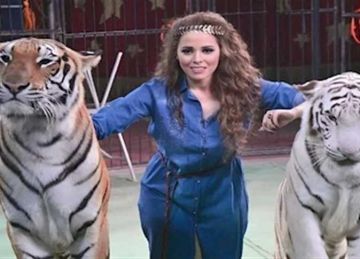 تفاصيل جلسة الصلح بين أنوسة كوته وعامل سيرك طنطا