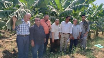 الزراعة تصدر نحو 384 ترخيص مشاتل إنتاج الخضر خلال أغسطس الماضي الزراعة تصدر نحو 384 ترخيص مشاتل إنتاج الخضر خلال أغسطس الماضي