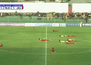  اعمل نفسك ميت .. هجوم سرب نحل على ملعب في تنزانيا يوقف المباراة (فيديو)