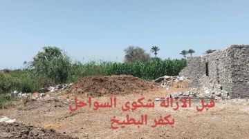 حملة لإزالة الإشغالات ورفع المخلفات بشوارع دمياط.. وهذه أرقام الإبلاغ عن الكلاب الضالة