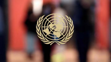 مصر توجه 3 مطالب عاجلة للأمم المتحدة