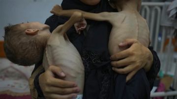 ارتفاع حصيلة شهداء الجوع في غزة وسوء التغذية إلى 382 فلسطينيا ارتفاع حصيلة شهداء الجوع في غزة وسوء التغذية إلى 382 فلسطينيا