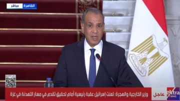 دورها لا يمكن تعويضه.. وزير الخارجية: لا بديل عن أونروا وأي محاولة للمساس بها مرفوضة