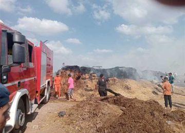 نفوق 7 رؤوس مواشي في حريق حظيرة بالدقهلية نفوق 7 رؤوس مواشي في حريق حظيرة بالدقهلية