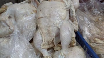 خلال حملة تفتيشية بمحال بورفؤاد .. ضبط أكثر من 50 كيلو دواجن بدون بيانات