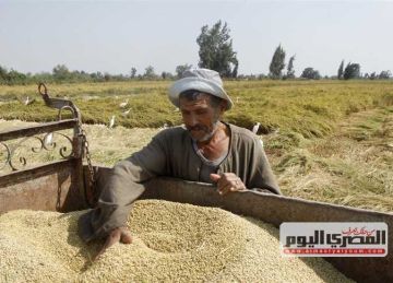 أسعار الأرز الشعير والأبيض اليوم الإثنين 22-9-2025 بـ أسواق الشرقية