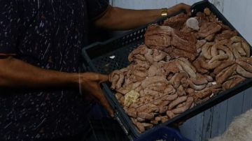 محافظة الجيزة تضبط 3 أطنان برجر وسجق وعجينة كفتة ودهون حيوانية غير صالحة