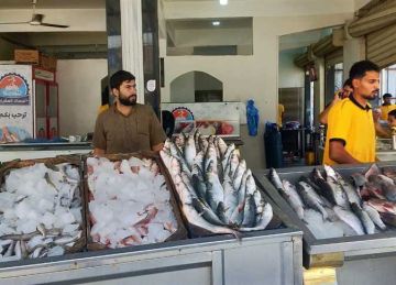 أسعار السمك والمأكولات البحرية الشعبية بأسواق الإسكندرية اليوم الاثنين 8 سبتمبر 2025 أسعار السمك والمأكولات البحرية الشعبية بأسواق الإسكندرية اليوم الاثنين 8 سبتمبر 2025