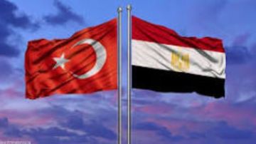 اتفاق مصري - تركي على ضرورة إنهاء الحرب بقطاع غزة في أقرب وقت