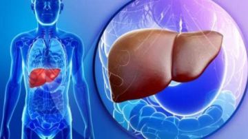 بول داكن وعسر هضم.. 10 علامات خفية لتلف الكبد