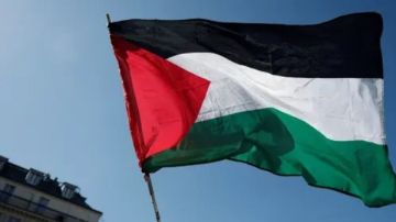 تشابمان: الاعتراف بفلسطين يعكس حق الشعب الفلسطيني في تقرير المصير