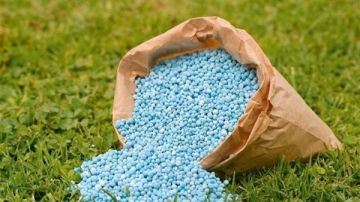 عاجل.. وزير الزراعة: توزيع مليون طن أسمدة على المزارعين بالسعر المعلن والمدعم عاجل.. وزير الزراعة: توزيع مليون طن أسمدة على المزارعين بالسعر المعلن والمدعم