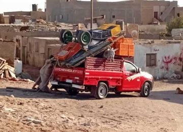 مدينة رأس غارب تواصل ترحيل عربات الكارو إلى قنا بعد حظر سيرها بالشوارع