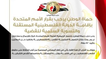 حماة الوطن يرحب بقرار الأمم المتحدة بالتسوية السلمية للقضية الفلسطينية وحل الدولتين
