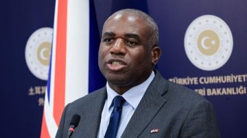 وزير خارجية بريطانيا: مصر لعبت دورا حيويا في ضمان وصول المساعدات إلى غزة وزير خارجية بريطانيا: مصر لعبت دورا حيويا في ضمان وصول المساعدات إلى غزة