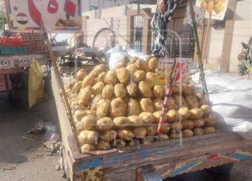 أسعار الخضروات والفاكهة اليوم 10 سبتمبر بدمياط