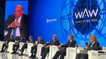 وزير الكهرباء: الاستفادة من الطاقة الذرية واستخداماتها السلمية حق أصيل لكل دولة