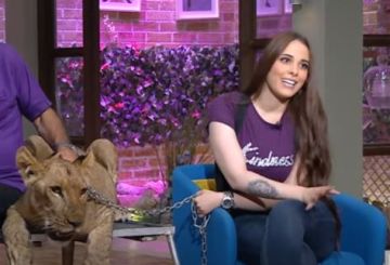 أنوسة كوتة توجه رسالة لعامل سيرك طنطا بعد تعرضه لهجوم نمر