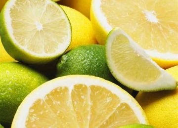  خزني الليمون صح .. حيل للحفاظ عليه طازة لأكثر من 4 شهور (الطريقة والخطوات)