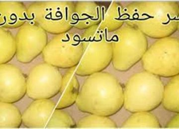 استشاري تغذية يحذر من الإفراط في تناول الجوافة لهذا السبب (تفاصيل)