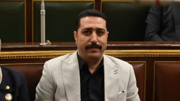 برلماني: بيان الخارجية يعكس الثوابت التارخية لمصر في دعم القضية الفلسطينية