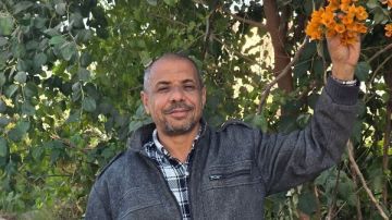 مصرع مهندس زراعي خلال تنفيذ حملة إزالة بقنا مصرع مهندس زراعي خلال تنفيذ حملة إزالة بقنا