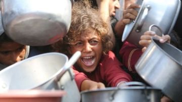 الأمم المتحدة: أكثر من نصف مليون شخص يواجهون جوعا كارثيا في غزة