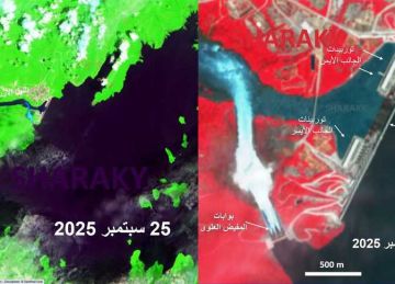 زيادة التصريف من سد النهضة له تأثير كبير على السودان.. شراقي يكشف أهم التفاصيل زيادة التصريف من سد النهضة له تأثير كبير على السودان.. شراقي يكشف أهم التفاصيل