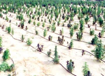 ضبط مخدرات بـ1.6 مليار جنيه في الإسماعيلية ضبط مخدرات بـ1.6 مليار جنيه في الإسماعيلية