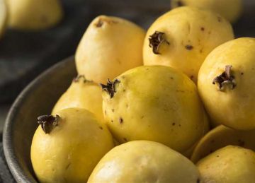 منها مرضى السكري.. 4 فئات ممنوعة من تناول الجوافة هل أنت منهم؟