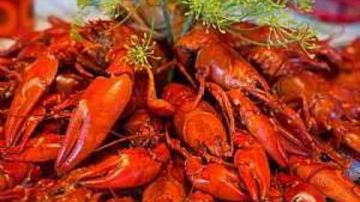 مصر الرابعة عالميا في صادرات الاستاكوزا المجمدة بقيمة 23 مليون دولار مصر الرابعة عالميا في صادرات الاستاكوزا المجمدة بقيمة 23 مليون دولار