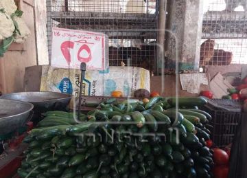 البرقوق 100 جنيه والثوم 140.. أسعار الخضروات والفاكهة غدا بأسواق دمياط