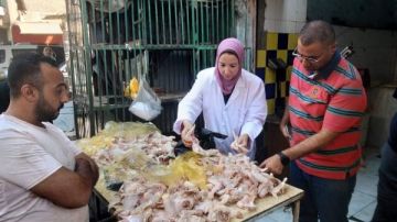 بيطري المنيا : ضبط لحوم مخالفة خلال حملات تفتيشية مكثفة