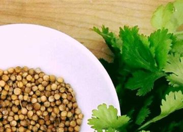 رقم 3 ستدهشك.. 4 أسباب تدفعك إلى إضافة الكزبرة الناشفة إلى طعامك