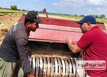 زراعة كفرالشيخ تؤكد أهمية رفع وعي المزارعين بخطورة حرق قش الأرز