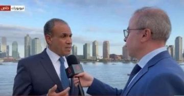 وزير الخارجية: رسالة مصر وقف فورى للحرب فى غزة وحل الدولتين سبيل التسوية