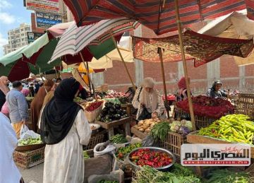 أسعار الخضار في أسواق أسوان اليوم الثلاثاء16 سبتمبر 2025 أسعار الخضار في أسواق أسوان اليوم الثلاثاء16 سبتمبر 2025