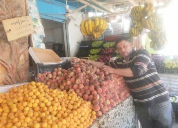 الكنتالوب بـ 25 جنيها.. أسعار الفاكهة في مطروح اليوم الثلاثاء 9 سبتمبر 2025